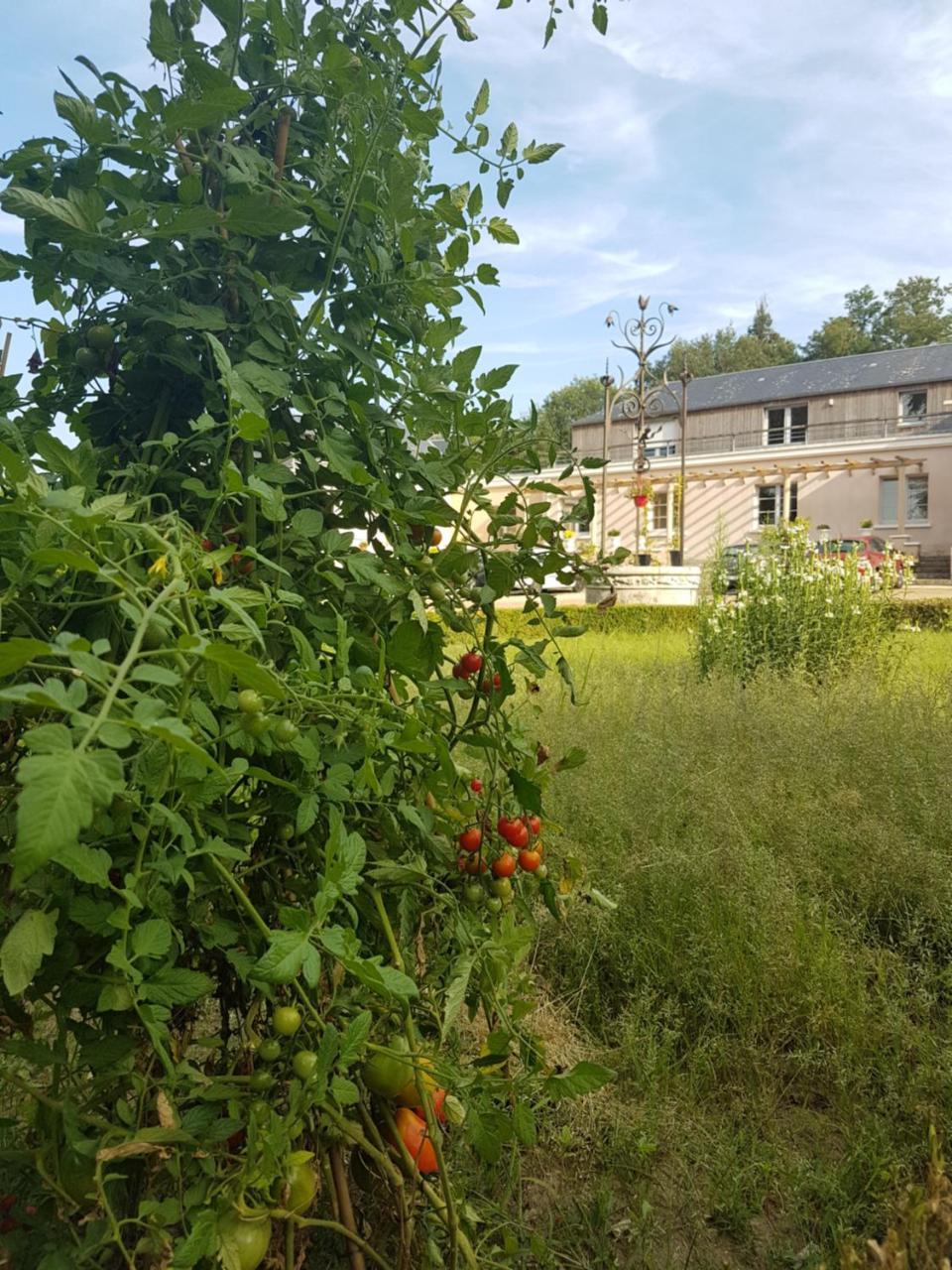Les Mazeraies Maison D'Hotes Avec Spa Savonnières Eksteriør billede
